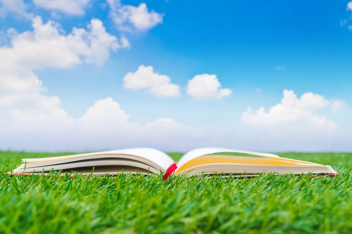 Cahier ouvert sur l’herbe